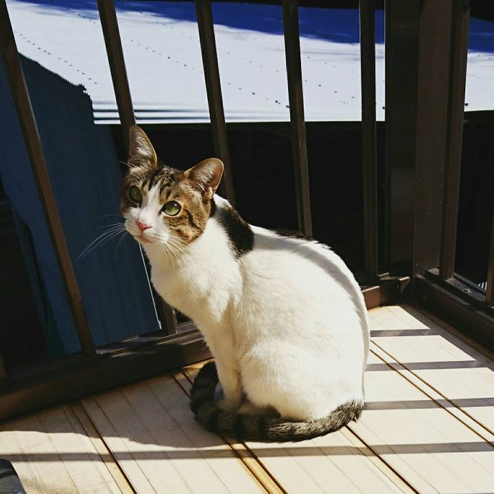 69124087 3527 400d a783 a917343b3e15