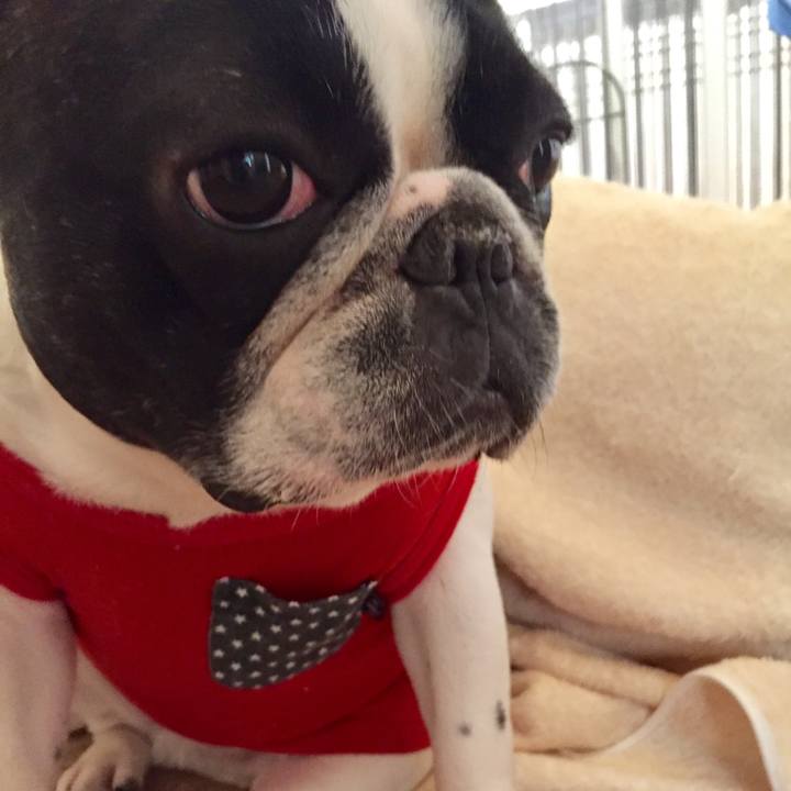 69136471 a13e 4422 9733 0b497e0d0a53