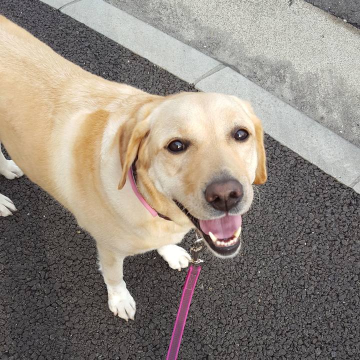 6913fdf9 3ece 4d9d a197 3a97ad9074c0