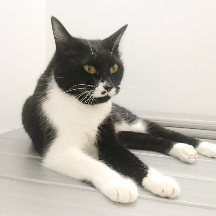 691446ae 2741 445d 98d7 a033b81d17fc