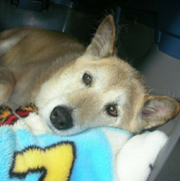 6914507c efe8 4c80 8a96 77250656d47b