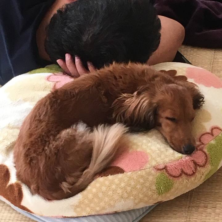 6914532a dd0f 4007 8580 2a38157fb5ac