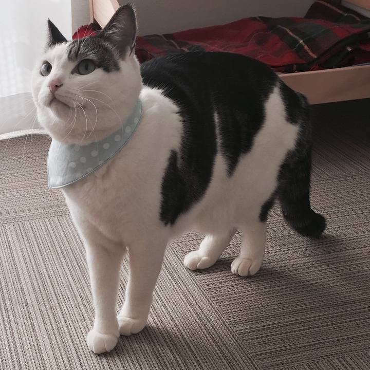 69149033 3440 4481 987e ea615ff3fdef