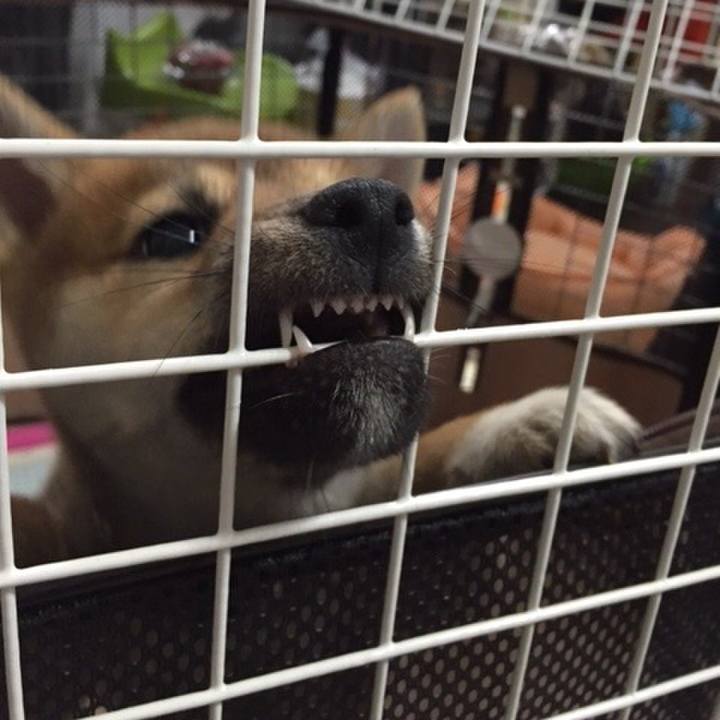 6914a70c a506 42fa 85c3 4d306a7bffe4