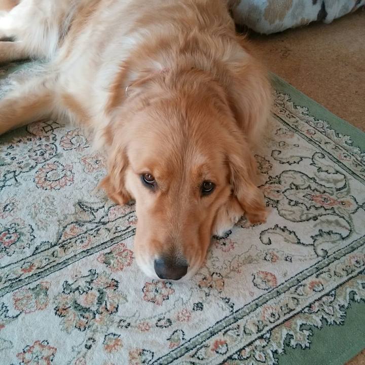 6914d3ed 2500 4836 8228 2318f158cefc