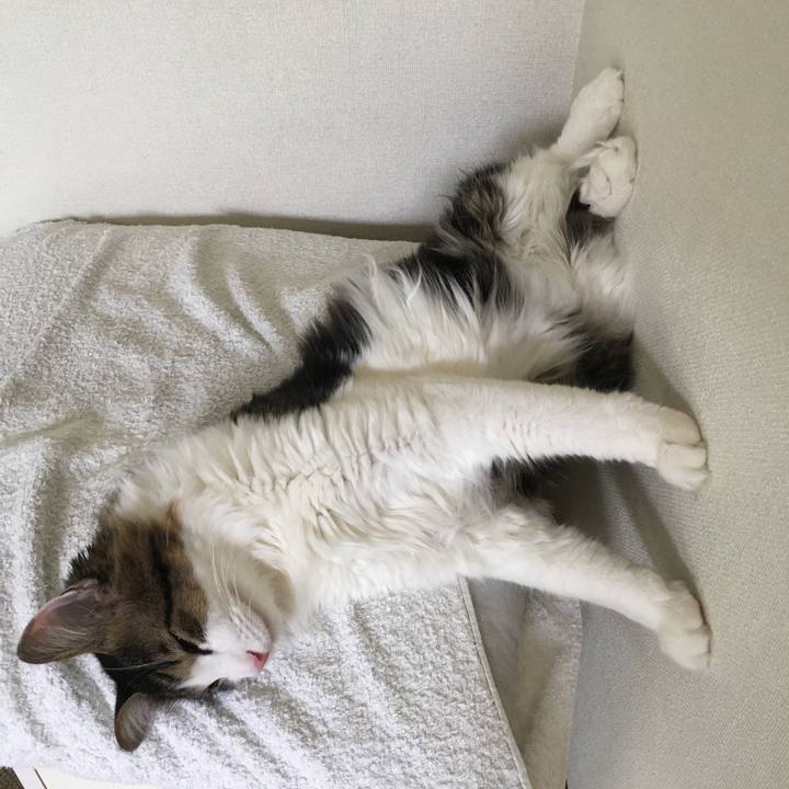 6914e285 6622 44e2 a9f2 0b939753f7a7