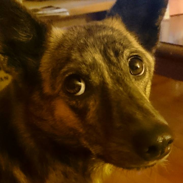 6915889f 6525 4d52 bbbc db13fadd54e5