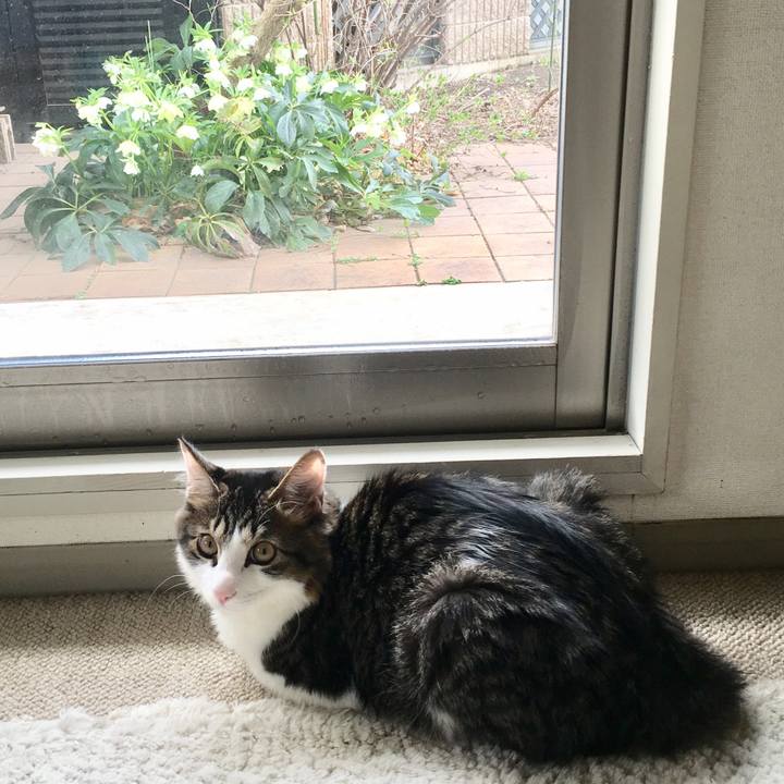 6916333a 1ff7 471d 9df6 436e6288e187