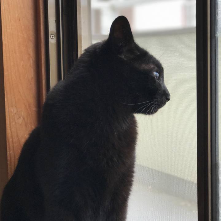 69164ec6 d190 49d0 b734 a4d40f2840de