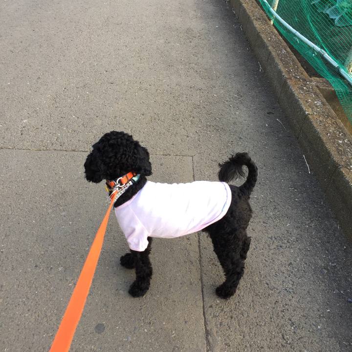 69169c51 e24e 4585 965e 497e105a36c6