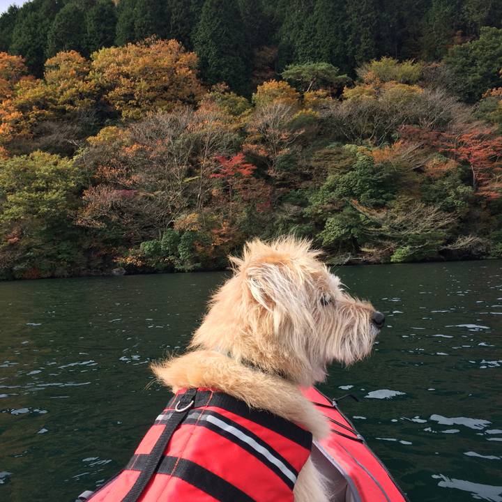 6916d236 daac 483d 9063 99278d5ccf3a