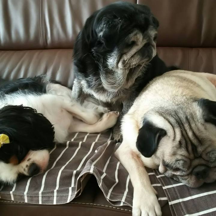 6917490f 8ee0 476b a732 657ca22caecf