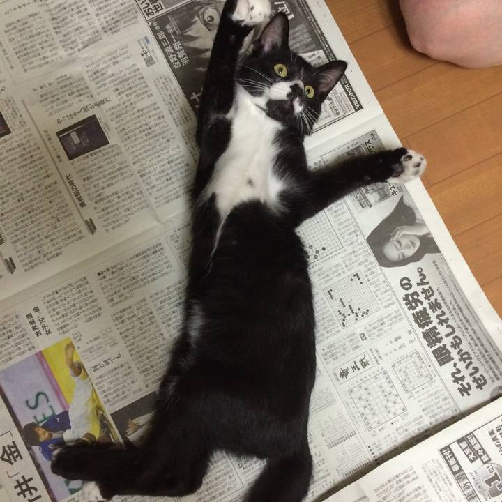 6917754f 3cc3 4faa b86d becef04b62ac