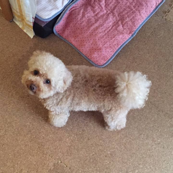 69183d43 ddaf 4da6 82ba 4ad4d304ade8