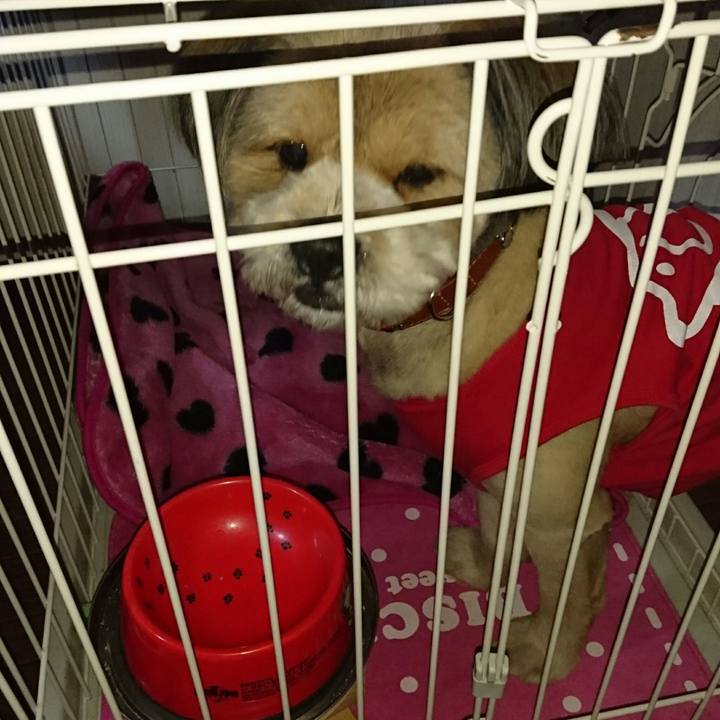 69186759 2a0b 43e3 b42e 63a1e9959132