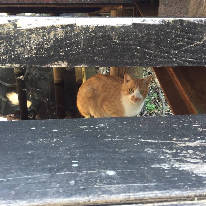 6918a830 84b9 4b9b 9c04 40519f6a4a05