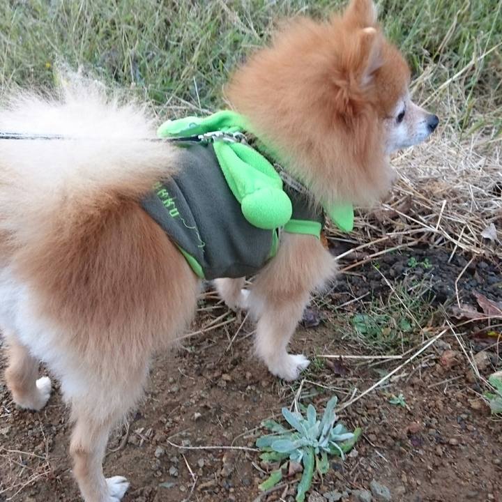 6918b93b 832f 4aed 8b69 25881f9531fd