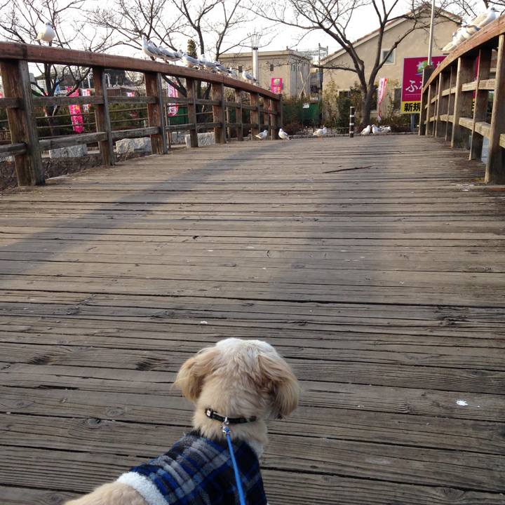 691906e3 fcdf 4cf9 aa2f 1002b4eb3083