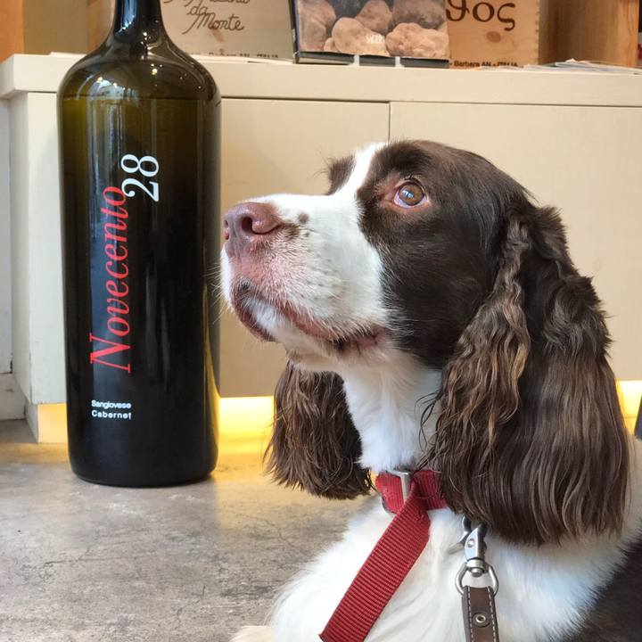 6919f185 f4f4 43db 91e2 937e73cf5f35