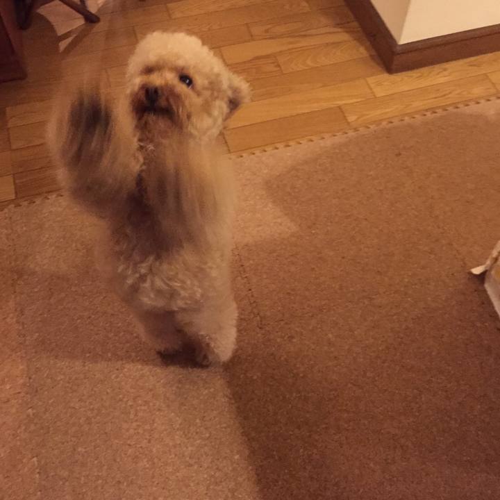 691a06c8 4b0b 4344 88e5 bb6fa8c135ed