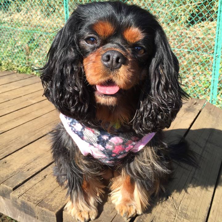 691ac38b 7fcb 428f 89d4 3a543e5eb2df