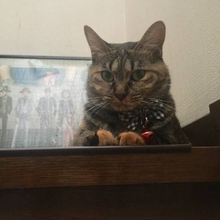 691b1451 c23f 4800 800e d81be7714722