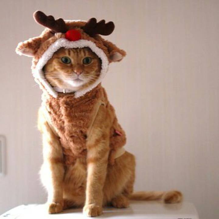 691b17ed 7338 4c16 bb83 7428d5786a9b