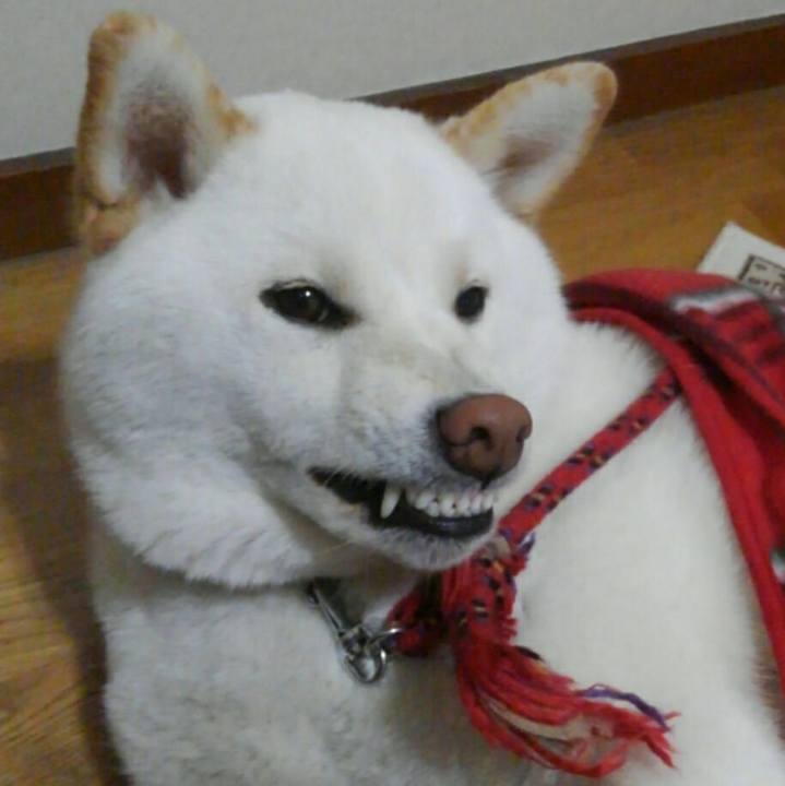 691b4f61 e511 4af3 ac6a fe1ffe04e628