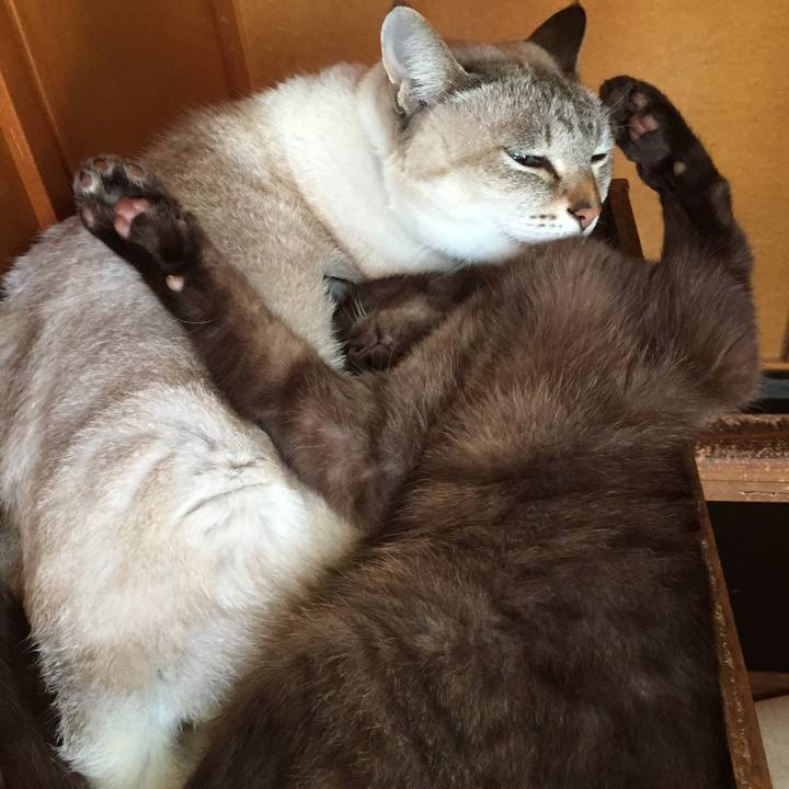 691bc68f 0b72 4c2a 94d0 2003091ebd01