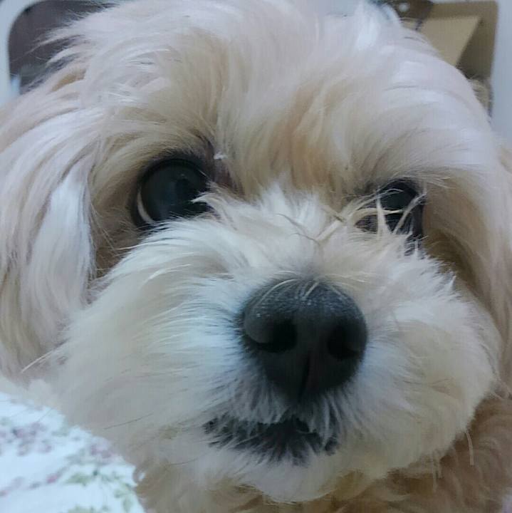 691d09e9 bd96 4c8d 86db afa2876ff88a