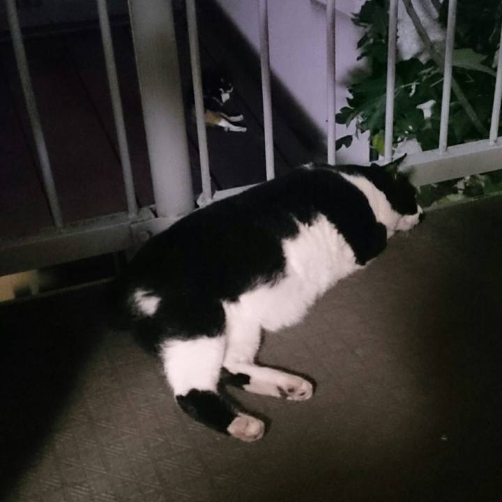 691db29b 39d5 47f5 8d4c 1edc7f83c8b2