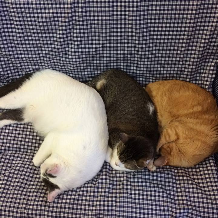 691ddacb 991d 4c94 b932 b54feeda73c5