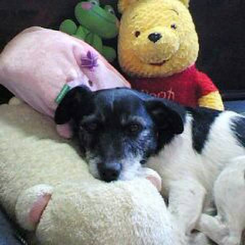 691f5a36 eeab 4e2a b57a f721448b143f