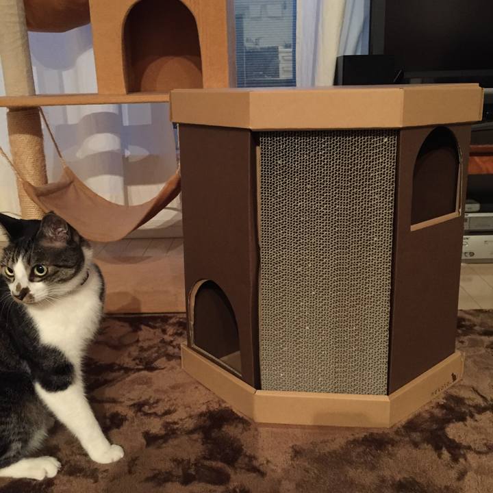 691fa982 1d6d 41c2 ab08 e465f35379ce