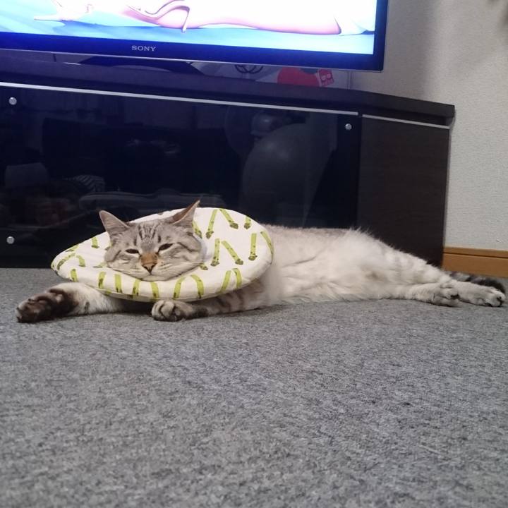 691fc692 329e 4380 be1c f0673727a043