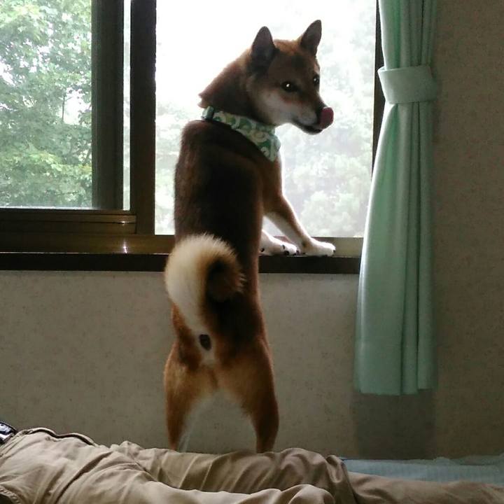 6921d155 e283 42f7 8e7f a5cff2444e91