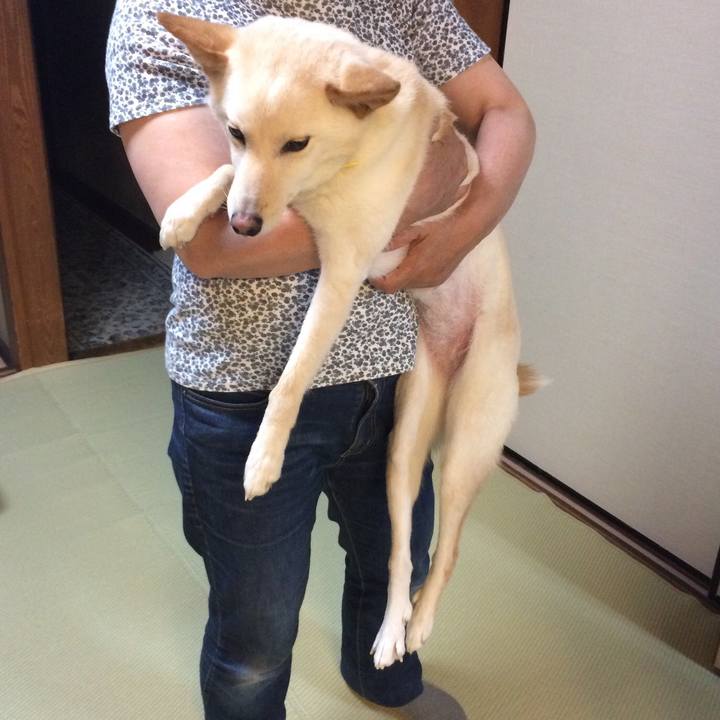 69227eea 9ee1 4b8e 9d40 29328131826d