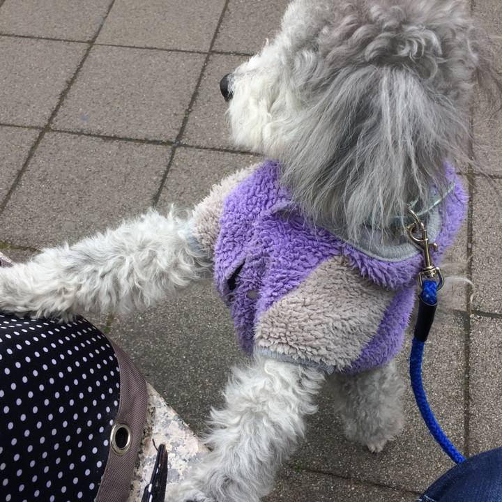 69228f7b 61a4 4d1e b595 afbcd9afabdd