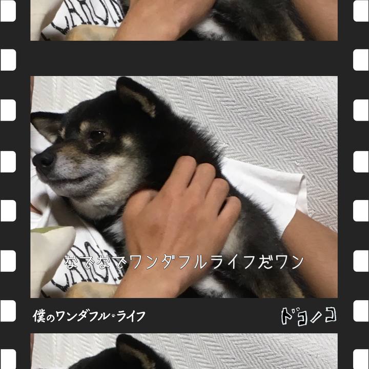 69230128 9f86 44ef 912a 5cff0ca8960f