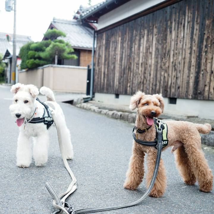 69232bb4 b031 4a33 b6fd e08c6a6577be