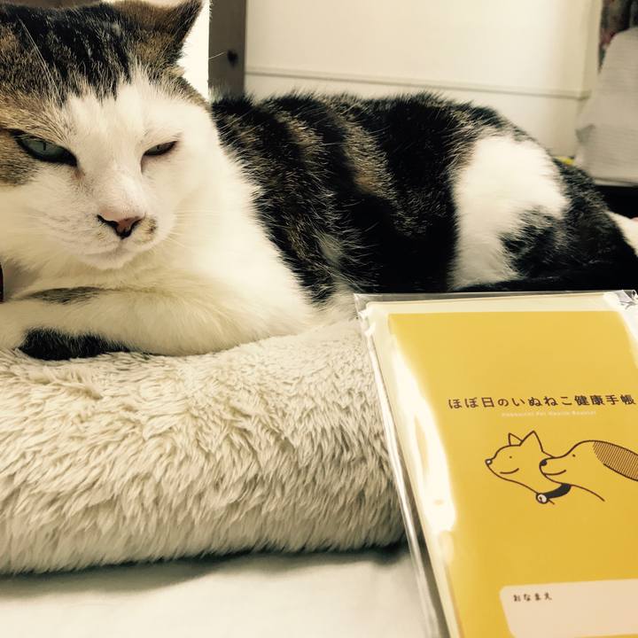 69234a2f 5341 4084 93ae 428ba272fd84