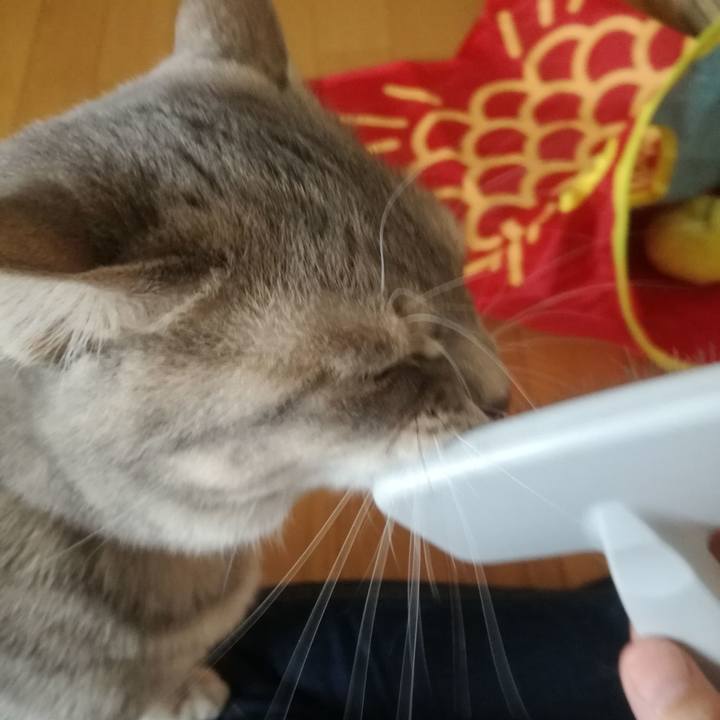 6923bf70 be18 4f1f 98ff c9d140544a36