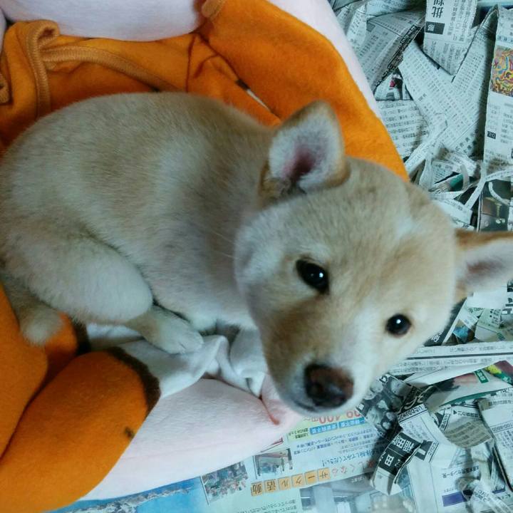 6925b4b1 68eb 49da 91d6 bdf79422ffaa