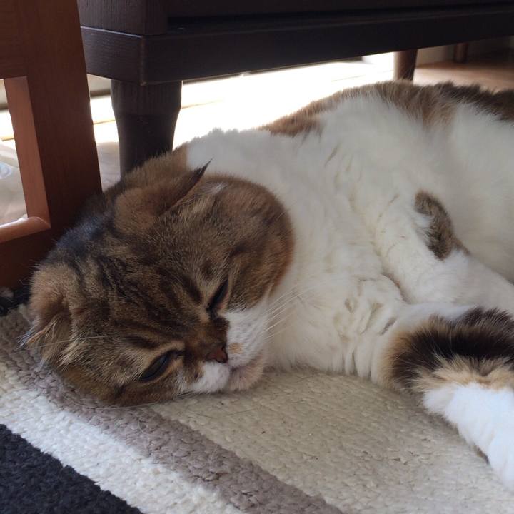 6926190b 2844 47c9 a3a3 371384ff67b3