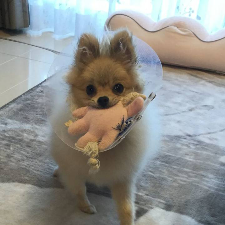 69266e56 e68d 43c6 a50a fdde1cfc5aea