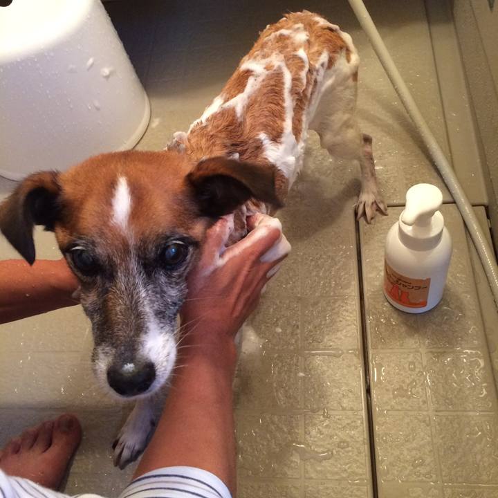 69279fa4 56a0 486b b30d ad0ae1a6fa26