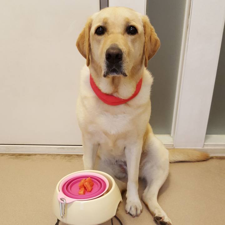 6927d989 b97b 4af5 b659 91aed99883a3