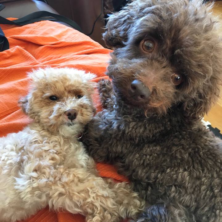 69286b36 89ee 422c 92b1 edf05449f06b