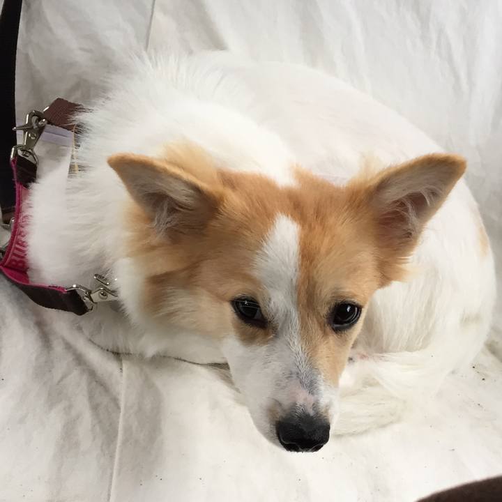 69288df1 f3b2 40af a12e fdc8e2e037e5