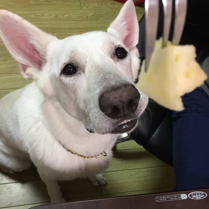 6928d40d cc26 45ea 9ca0 af8fcd82c3c4